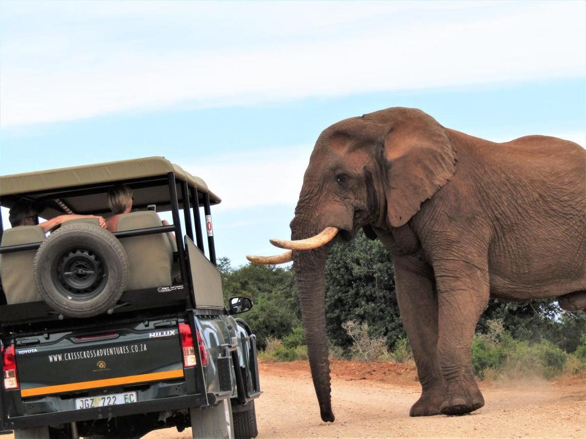 Chrislin African Lodge Addo Exterior photo