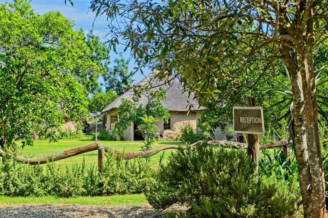 Chrislin African Lodge Addo Exterior photo