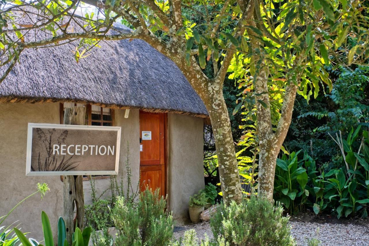 Chrislin African Lodge Addo Exterior photo